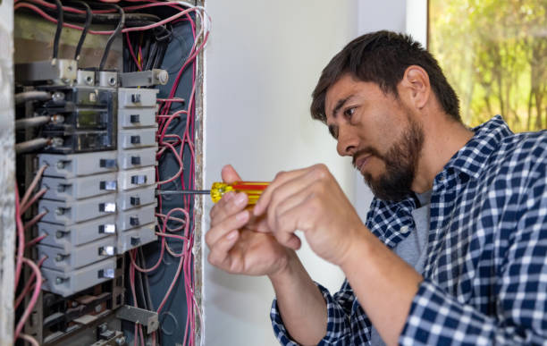 Best Ceiling Fan Installation Electrician  in Greenville, FL